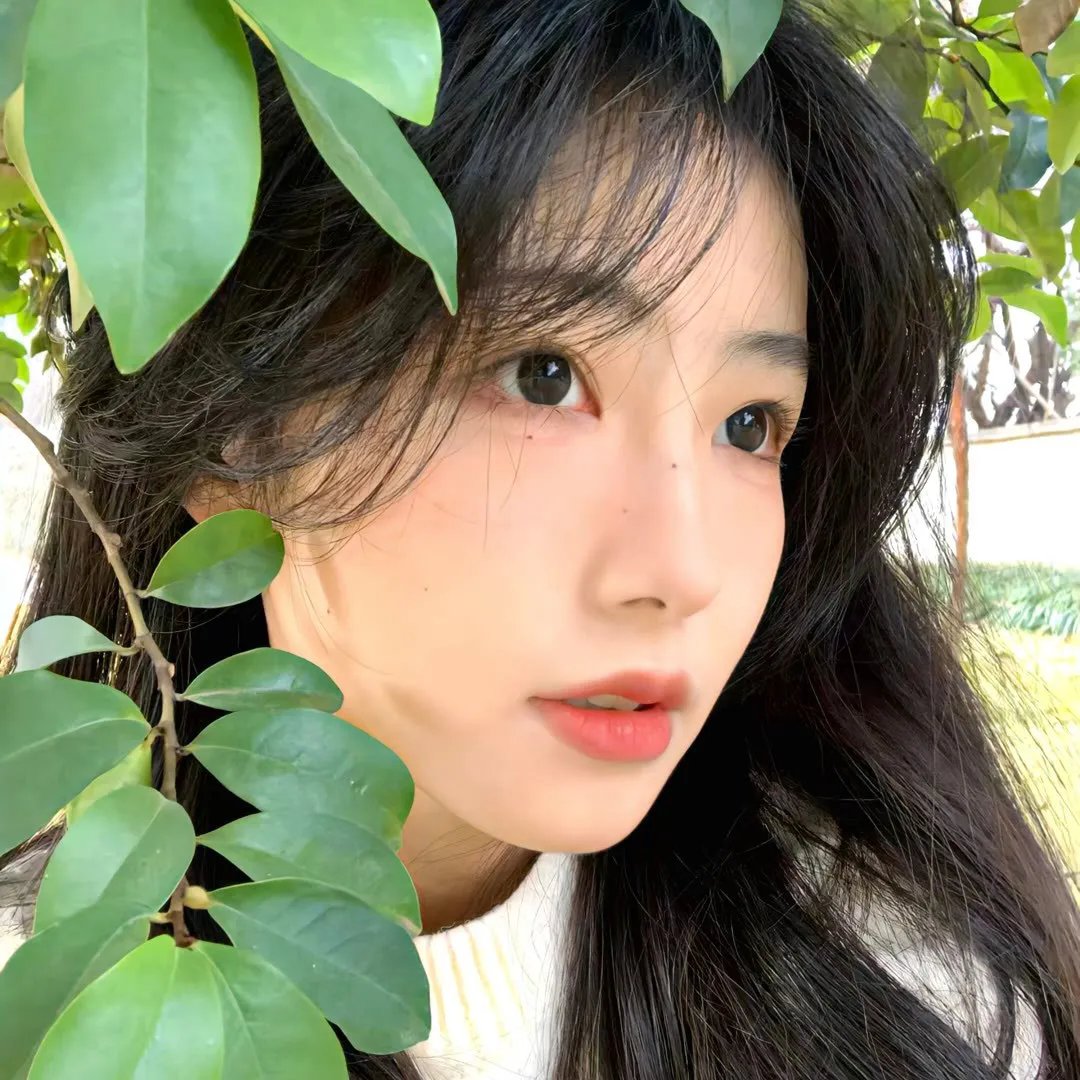密杀令